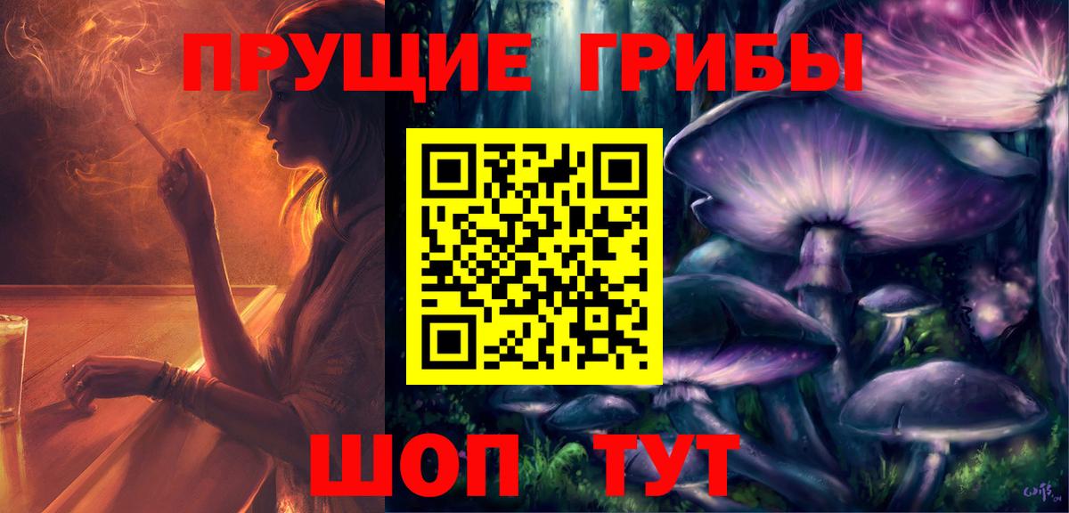 Кстово  Псилоцибиновые грибы Psilocybe  Вход с VPN 