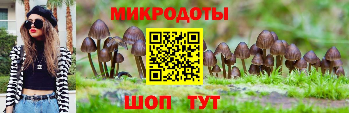 Галлюциногенные грибы GOLDEN TEACHER Кстово